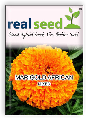 

Real Seed Marigold African Flower Seed(20 Per Packet)