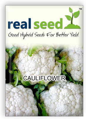 

Real Seed Cauliflower Seed(20 per packet)