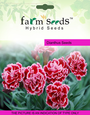 

FARM SEEDS Dianthus Seed(100 per packet)