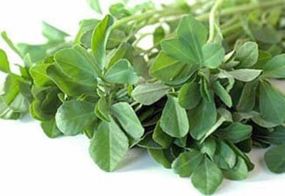 Nooelec India Methi Seed(50 per packet)