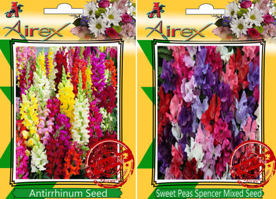 

Airex Antirrhinum Snapdragons, Sweet Peas Spencer Mixed Seed(25 per packet)