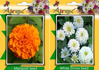 Airex Marigold, White Zinnia Seed(20 per packet)
