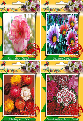 

Airex Carnation, Gazania, Helichrysum Mixed, Sweet William Mixed Seed(30 per packet)