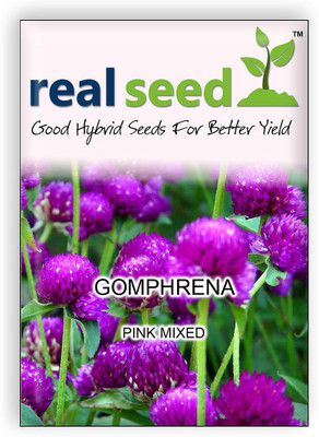 Real Seed Gomphrena Pink Flower Seed(30 per packet)