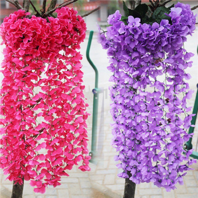 

Vsquare Retail Beautiful Attractive Hydrangea Flower Plant Seed(5 per packet)