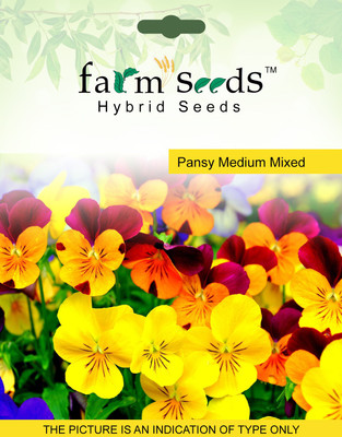

FARM SEEDS Pansy Medium Mixed Seed(100 per packet)