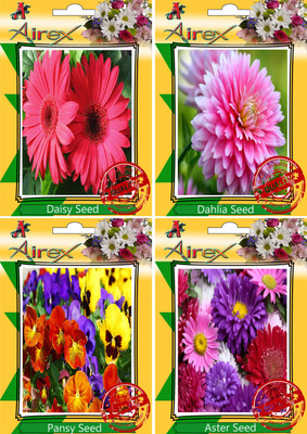

Airex Daisy, Dahlia, Pansy, Aster Seed(30 per packet)