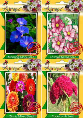 

Airex Morning Glory,Cosmos Mixed,Zinnia Mixed andCockscomb Seed(15 per packet)
