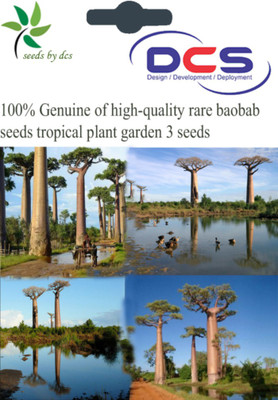 

DCS Tropical Plant Seed(3 per packet)