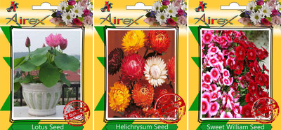 

Airex Lotus, Helichrysum, Sweet William Seed(20 per packet)