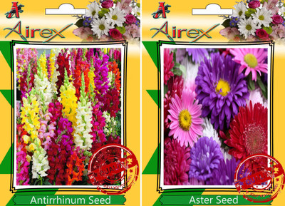 

Airex Antirrhinum, Aster Seed(25 per packet)
