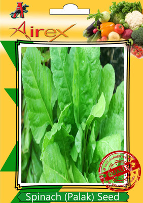 Airex Spinach Seed(25 per packet)