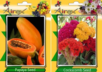 Airex Papaya and Cockscomb Seed(15 per packet)