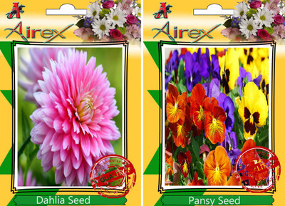 

Airex Dahlia, Pansy Seed(25 per packet)