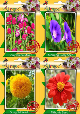 

Airex Gomphrena Mixed,Morning Glory,Sungold and Tithonia Seed(20 per packet)