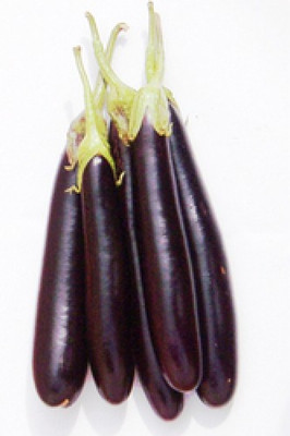 Nooelec India Egg Plant or Brinjal Long Seed(100 per packet)