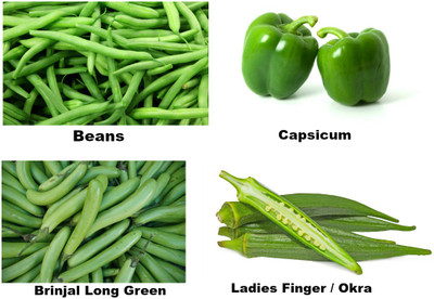 

Easy Gardening Beans, Capsicum, Brinjal Long Green, Okra / Ladies Finger Seed(20 per packet)