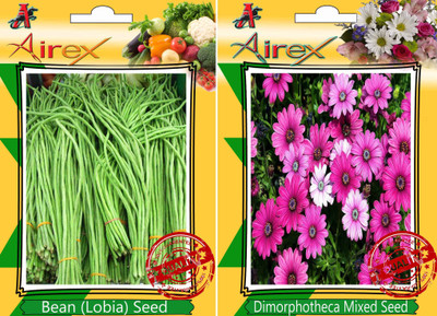 Airex Bean (Lobia), Dimorphotheca Mixed Seed(15 per packet)