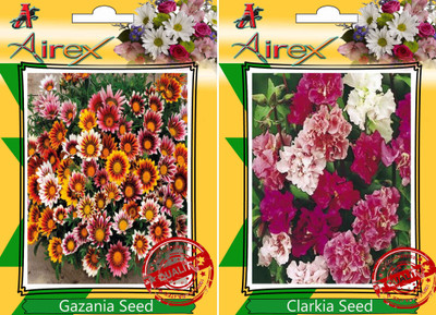 

Airex Gazania, Clarkia Seed(20 per packet)