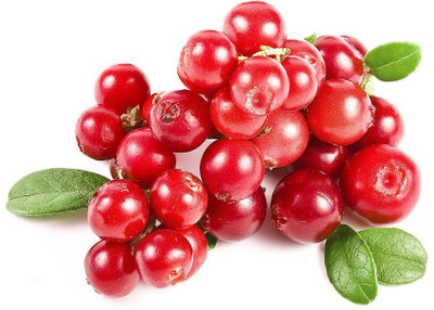 

National Gardens Cranberry Fruit Seeds by National Gardens Seed(10 per packet)