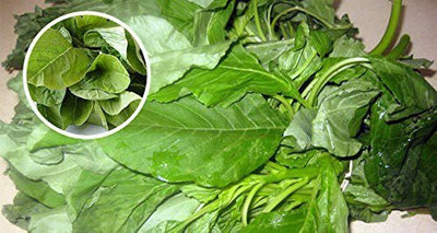 Aywal Amaranthus Leaf Cholai Green Saag Seed(20 per packet)