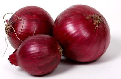 Divine Tree Onion Seed(40 per packet)