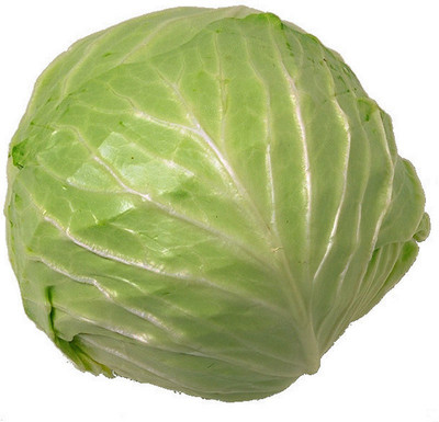 55% OFF on Eplant Lettuce Seed(30 per packet) 55% OFF on Eplant Lettuce Seed(30 per packet)