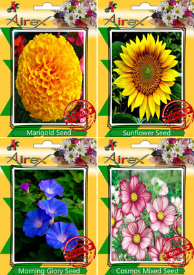 Airex Marigold, Sunflower, Morning Glory, Cosmos Mixed Seed(25 per packet)