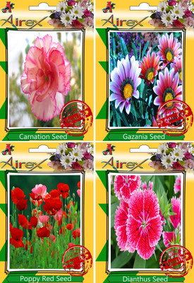 

Airex Carnation, Gazania, Poppy Red, Dianthus Seed(30 per packet)