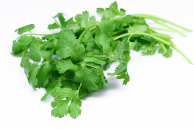 

Divine Tree Coriander Seed(50 Per Packet)