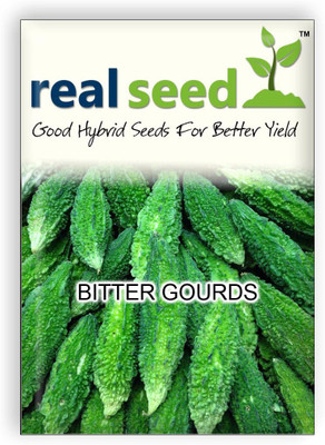 

Real Seed Bitter Gourd Seed(10 per packet)