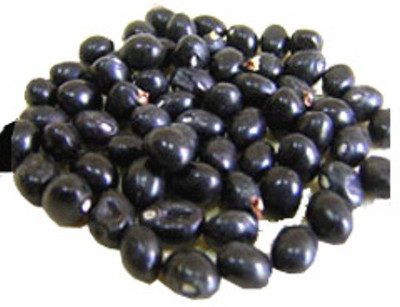 

MNA Gunja Gunja, Black Rosary Pea Seed(21 per packet)