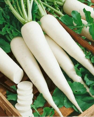 

National Gardens White Radish Seeds by National Gardens Seed(100 per packet)