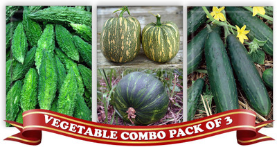 

Real Seed Vegetable Combo Pack - Bitter Gourd, Green Pumpkin, Cucumber (Kheera) F1 Hybrid Imported Seeds Seed(3 per packet)