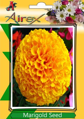 Airex Marigold Seed(15 per packet)