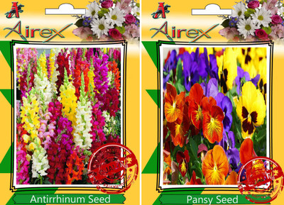 

Airex Antirrhinum, Pansy Seed(25 per packet)
