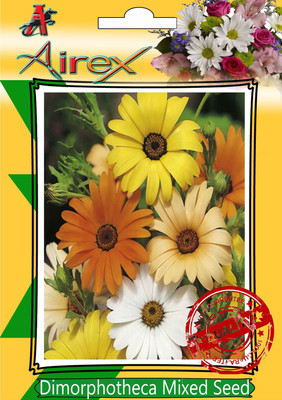 Airex Dimorphotheca Mixed Winter Flower Seed(25 per packet)