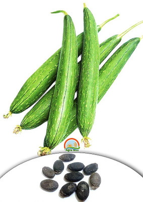 

Agro Max Sponge Gourd, Turai, Turaiya, Gilki, Chikni, Galka Seed(10 per packet)