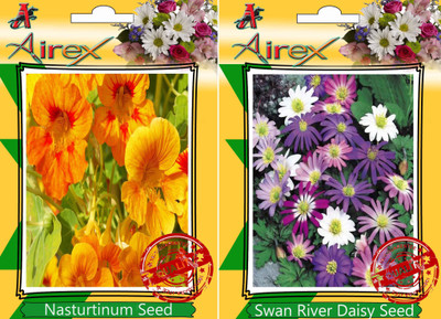 Airex Nasturtium Mixed, Swan River Daisy Seed(25 per packet)