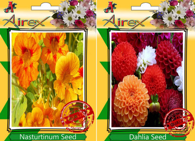 

Airex Nasturtium Mixed, Dahlia Seed(15 per packet)