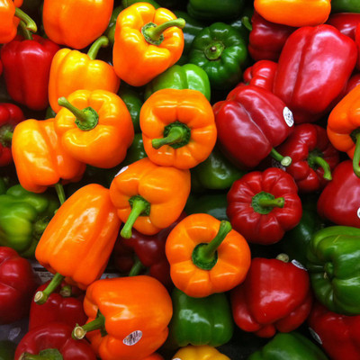 

Eplant Capsicum mix Seed(30 per packet)
