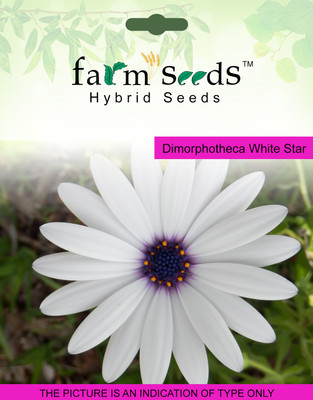 

FARM SEEDS Dimorphotheca White Star Seed(100 per packet)