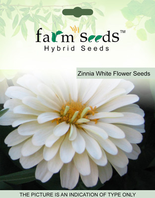 

FARM SEEDS Zinnia White Flower Seed(100 per packet)