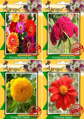 

Airex Zinnia Mixed,Cockscomb,Sungold and Tithonia Seed(20 per packet)