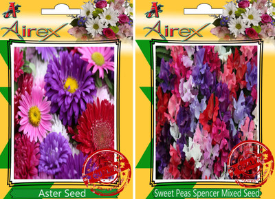 Airex Aster, Sweet Peas Spencer Mixed Seed(30 per packet)