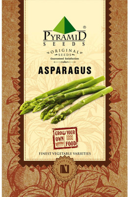 Pyramid Seeds Asparagus Seed(25 per packet)