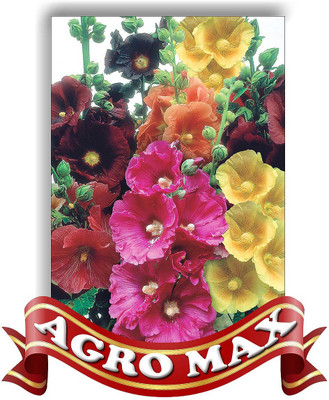 Agro Max HOLLYHOCK DOUBLE MIX Seed(50 per packet)