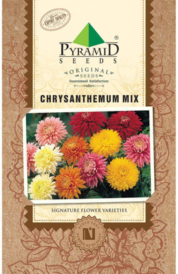 

PYRAMID SEEDS Chrysanthemum Mix Seed(200 per packet)
