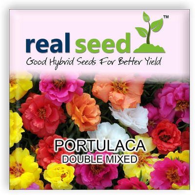 

Real Seed Portulaca Seed(50 per packet)