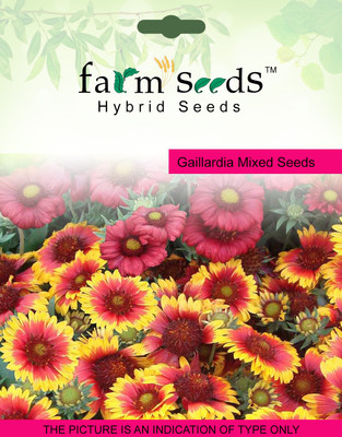 

FARM SEEDS Gaillardia Mixed Seed(100 per packet)